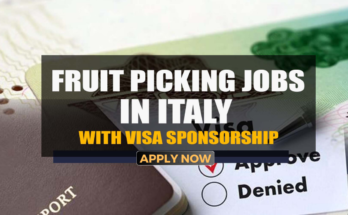 Fruit Picking and Packing Jobs in Italy with Visa Sponsorship